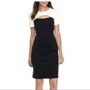 Sheath, midi dress by Calvin Klein.